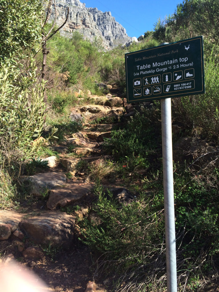 5-activities-foreign-friends-cape-town