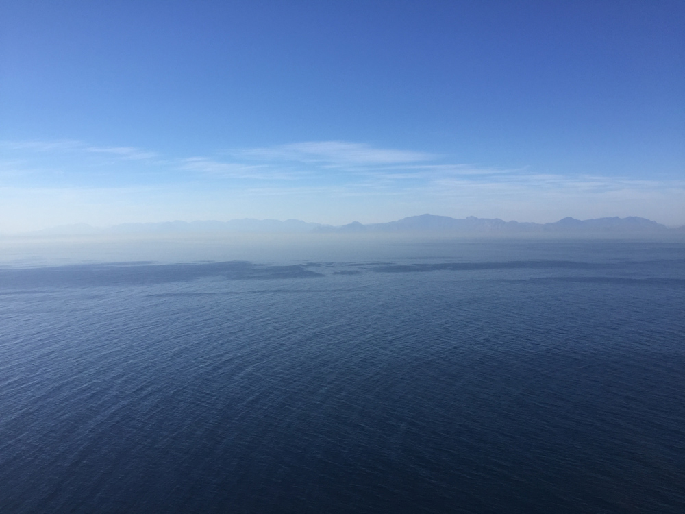 5-places-see-animals-cape-town-cape-point