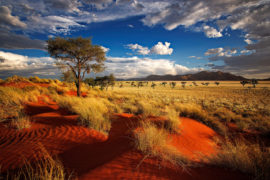 Best of Namibia - 12 Days