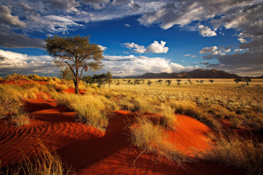 Best of Namibia - 12 Days