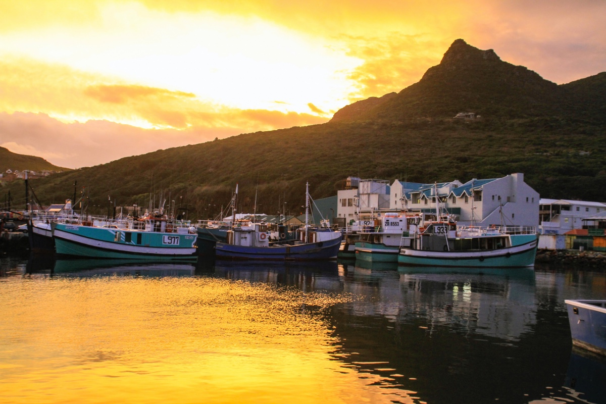 Hout Bay Harbour - Cape Peninsula 