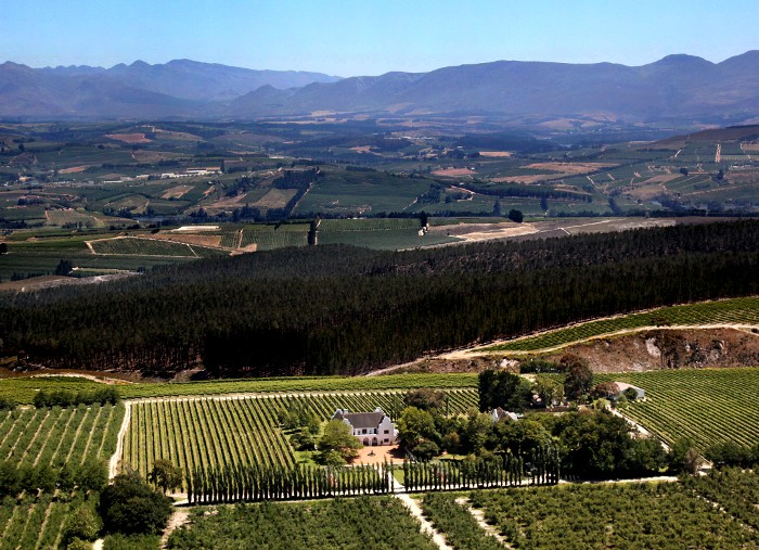 whale-route-from-cape-town-to-hermanus-elgin-valley